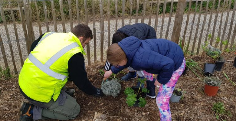 Plantations au Parc Nègre
