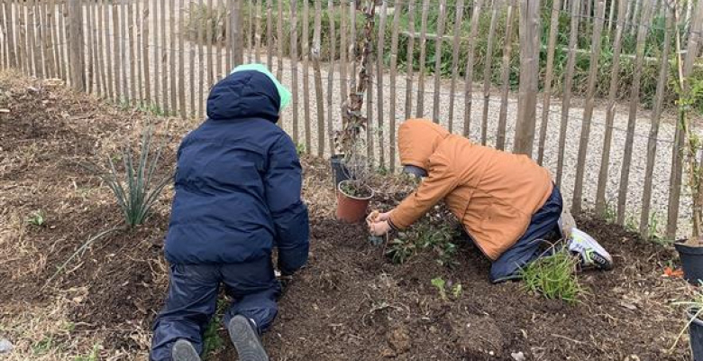 Plantations au Parc Nègre