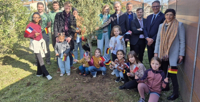 Un olivier de la paix symbolique et porteur d’espoir