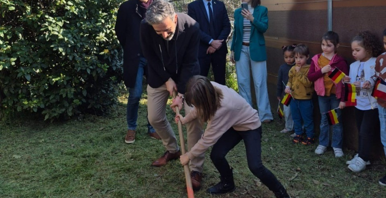 Un olivier de la paix symbolique et porteur d’espoir