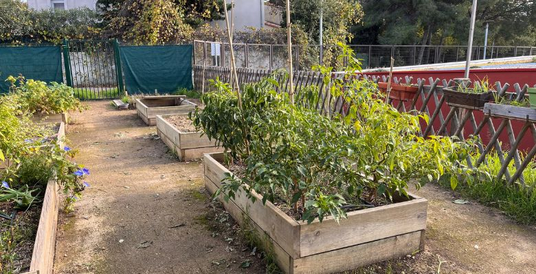 Projet jardin - École Beethoven