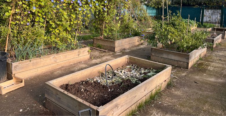 Projet jardin - École Beethoven