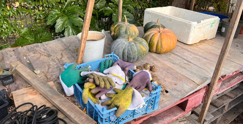 Projet jardin - École Beethoven