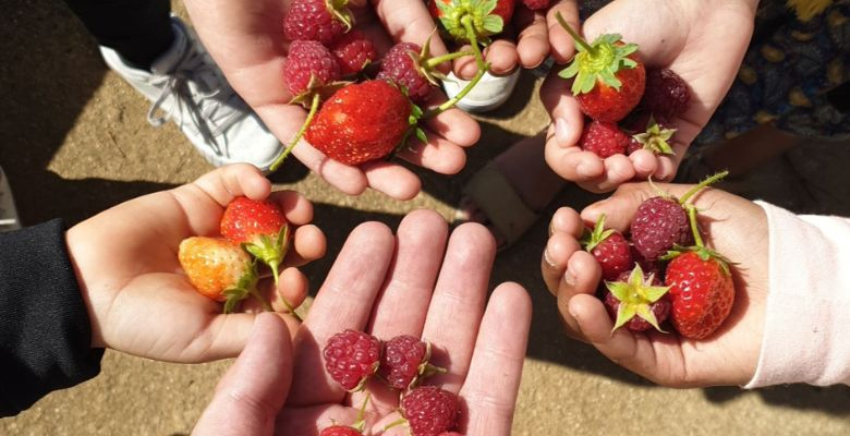 Projet jardin - École Beethoven