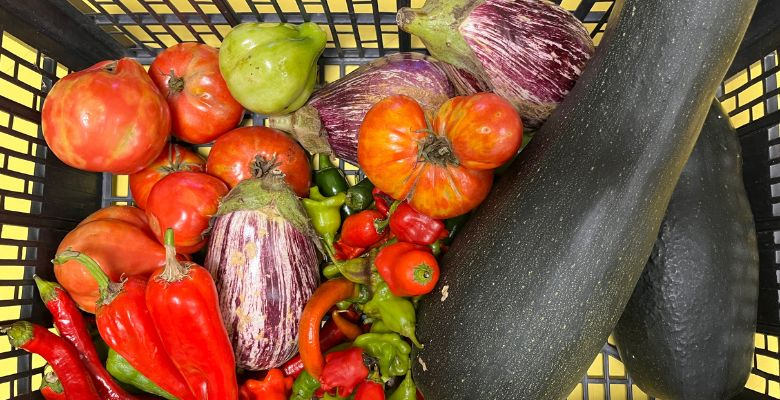 Projet jardin - École Beethoven