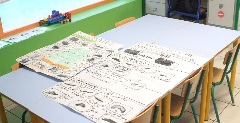 École en Démarche de Développement Durable - École Blaise Pascal