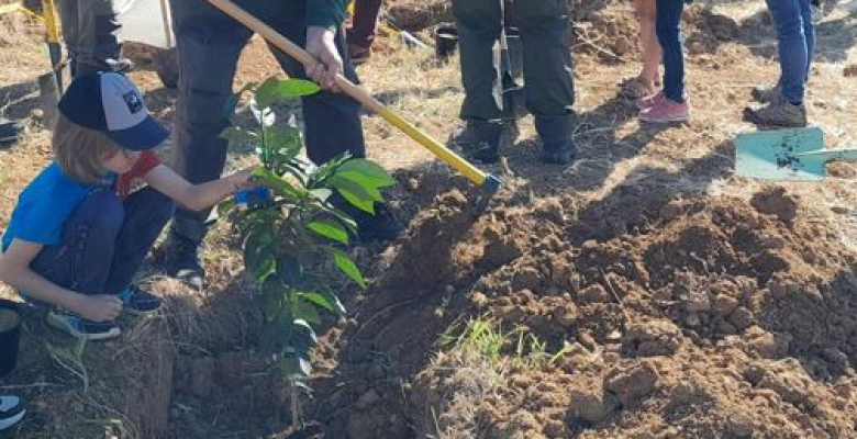 Plantation d'agrumes par les élèves de l'école Beethoven