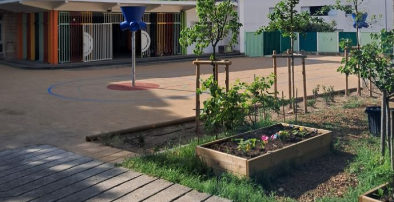 Une cour végétalisée à l'école