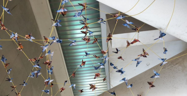 Transformer ses rêves en papillons pour les laisser s’envoler