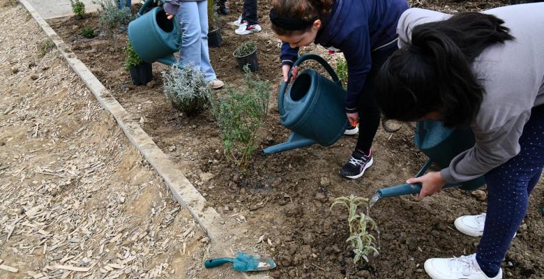 École élémentaire Louis Armstrong