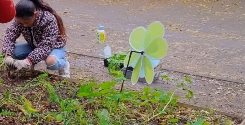 Les maraîchers de Curie : du bon et du bio !  