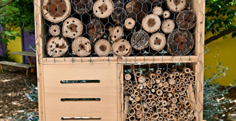 Hôtel à insectes - École Heidelberg 