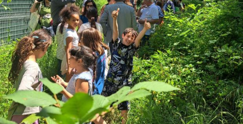 Les enfants ont dévoilé le havre de paix de la loutre, suivez le chemin!