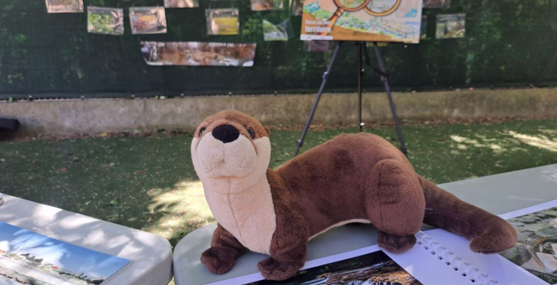 La nouvelle mascotte de l'école