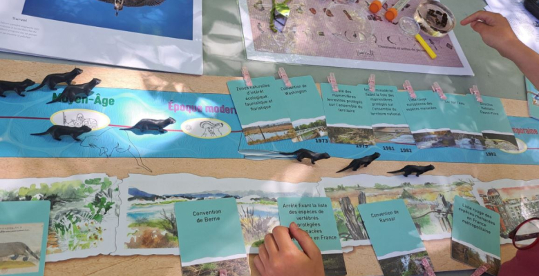 Inauguration du havre de paix pour les loutres