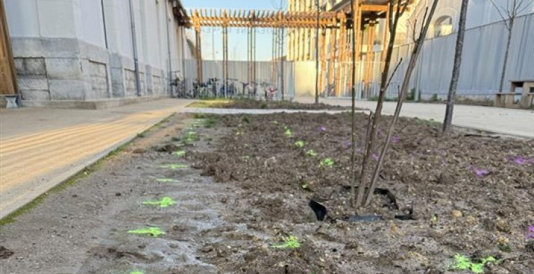 Les enfants ont été invités par la DNAP à participer aux plantations