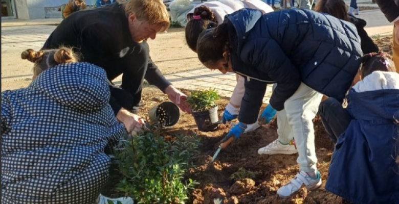Plantations à Moreau