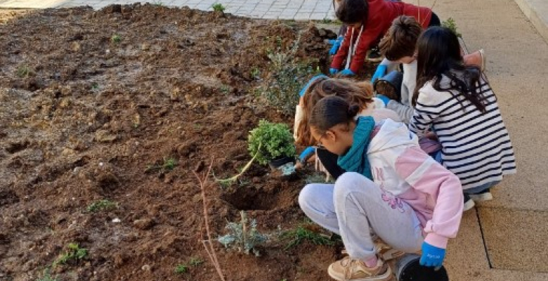Les enfants ont été invités par la DNAP à participer aux plantations