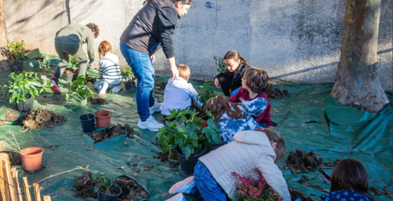 Plantation du parvis Daudet-Curie