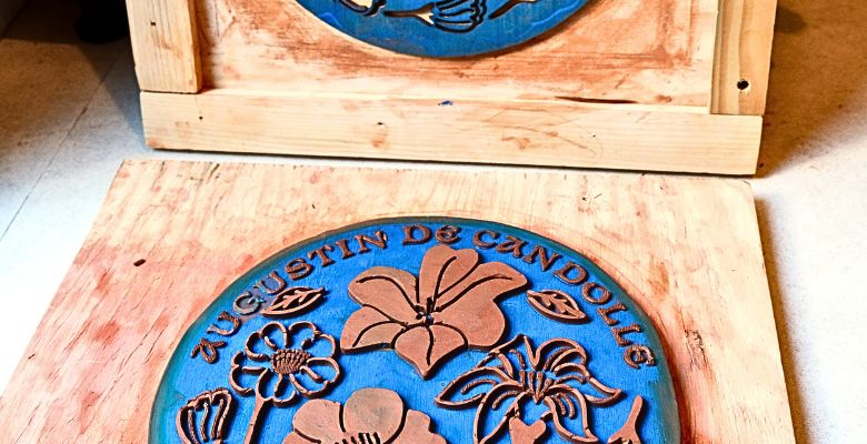 Projet artistique - Écoles Soulages