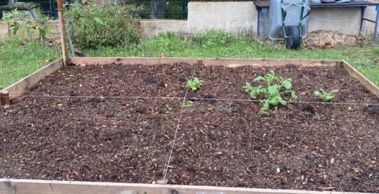 Schoelcher a la main verte