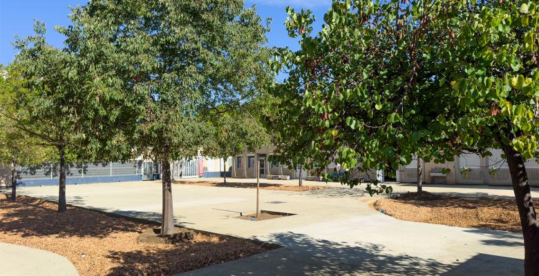 Cour - Ecole élémentaire Baruch Spinoza