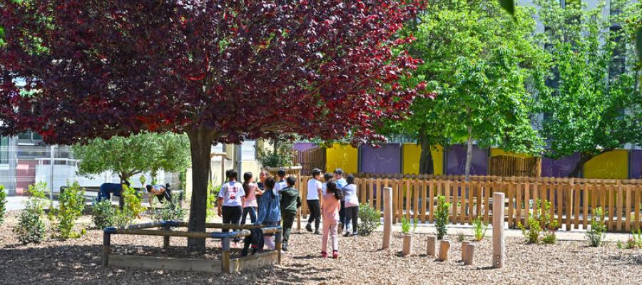 Cour - École Heidelberg