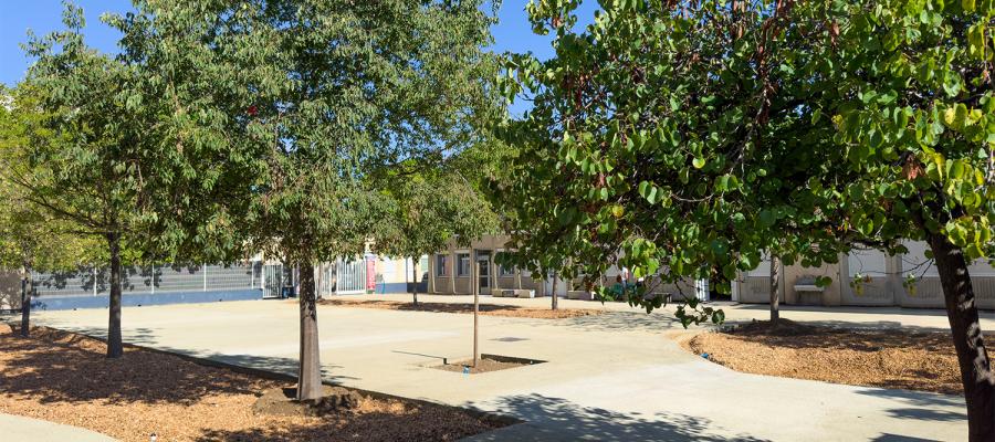 Cour - Ecole élémentaire Baruch Spinoza